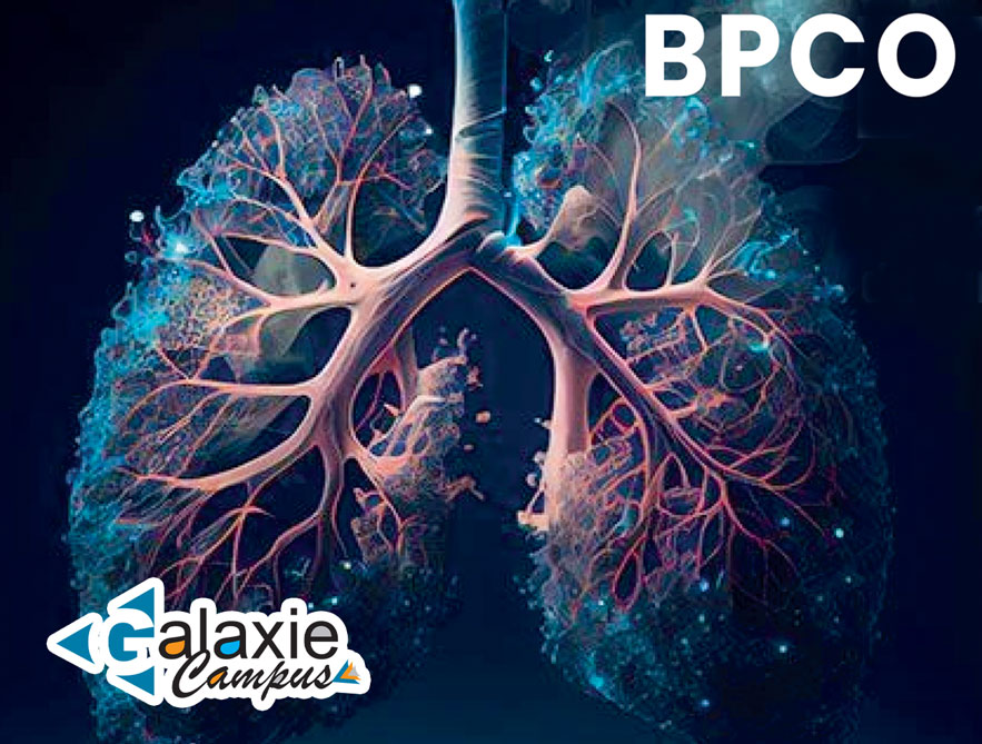 Modalités préventives et de dépistage de la BPCO